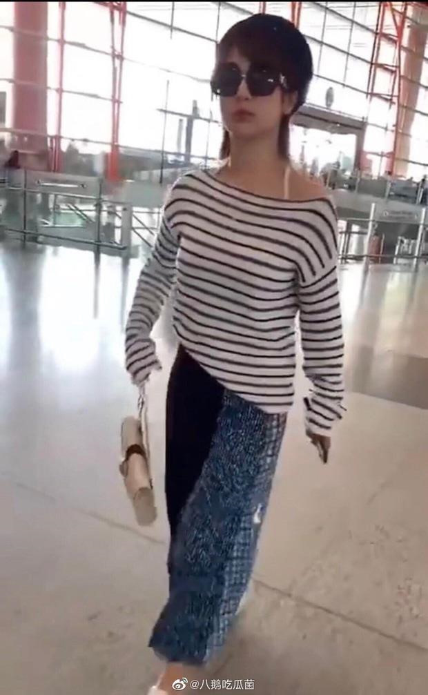 Dương Tử, Trịnh Sảng bị dìm hàng vì thời trang thảm họa ở sân bay 4