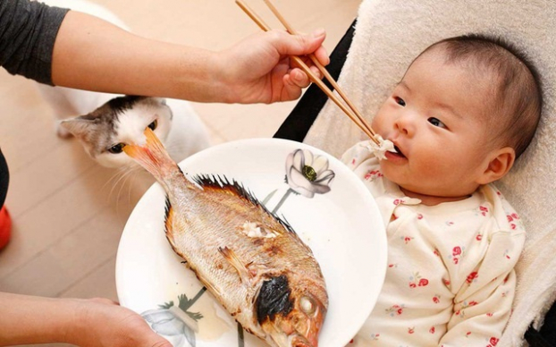 Trẻ có thể ăn hải sản khi bắt đầu ăn dặm nhưng cần cho trẻ ăn ít một, từ từ để trẻ dần thích nghi
