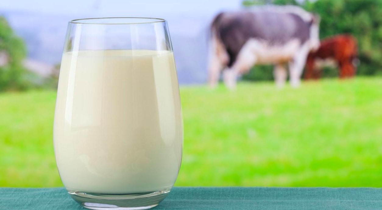 Sữa và các chế phẩm từ sữa giúp tuyến giáp hoạt động trơn tru hơn 