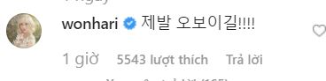   Hari Won để lại bình luận trên instagram của Goo Hara sau khi nghe tin tức về nữ ca sĩ  