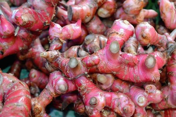 Ngoài dùng để nấu ăn, củ riềng còn 5 lợi ích 'thần kỳ' với sức khoẻ 2