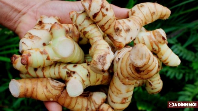   Những lợi ích thần kỳ của củ riềng  