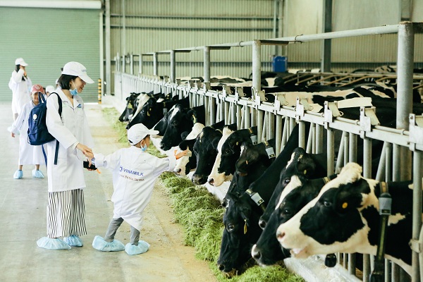 Vinamilk lên tiếng về nguồn nguyên liệu để sản xuất các sản phẩm sữa 2