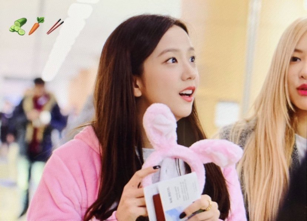 Lisa, Jisoo (BLACKPINK) khiến fan phát cuồng vì màn cosplay thỏ - vịt quá dễ thương 2