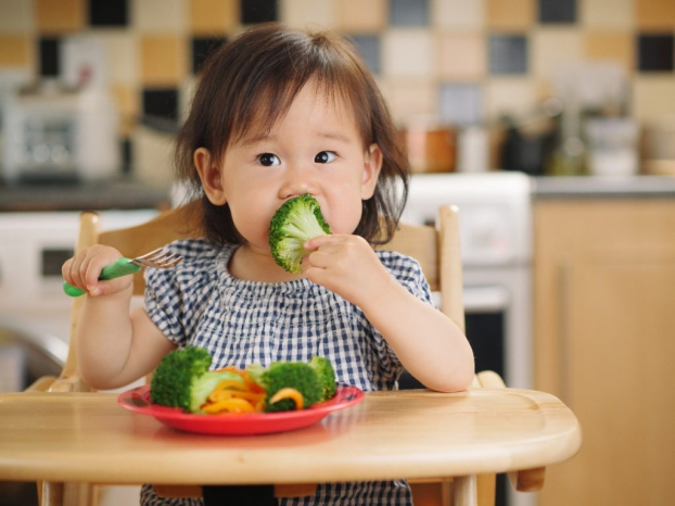   Trẻ chỉ ăn thực phẩm có nguồn gốc thực vật sẽ bị thiếu sắt, suy dinh dưỡng  