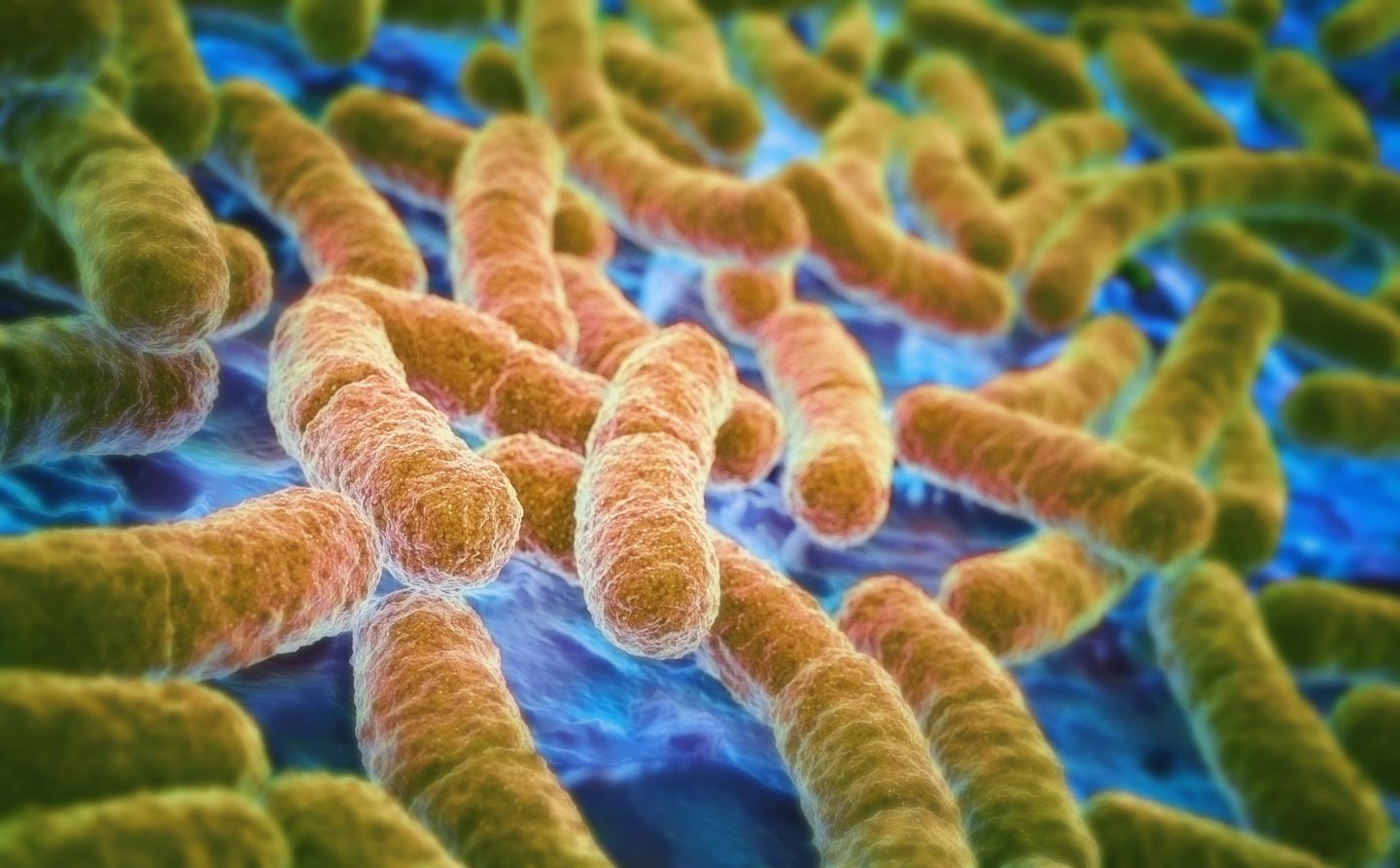   Một số triệu chứng như tiêu chảy, đau bụng và sốt do nhiễm khuẩn E.coli  