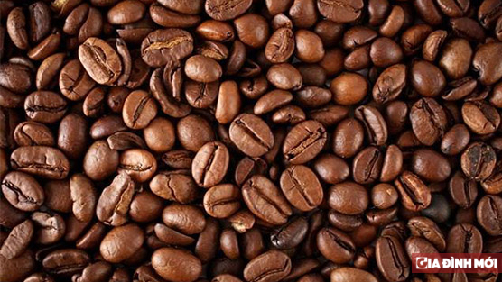   Giá cà phê hôm nay 18/12: Tăng thêm 500 đ/kg  