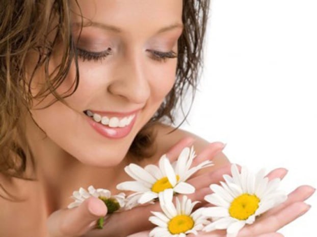   Hoa cúc có tác dụng làm trắng da, giúp da khỏe, đẹp, chống lão hóa  