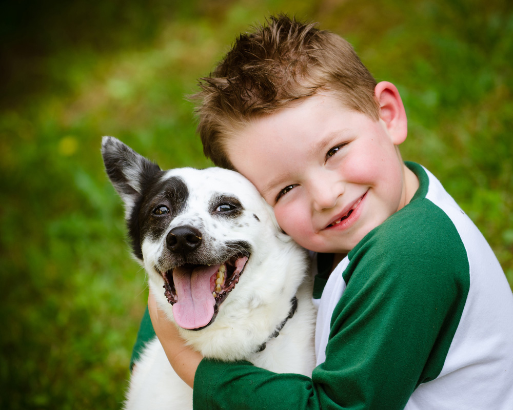   Cho trẻ tiếp xúc với chó có thể giảm nguy cơ bệnh tâm thần phân liệt (Ảnh minh họa)  
