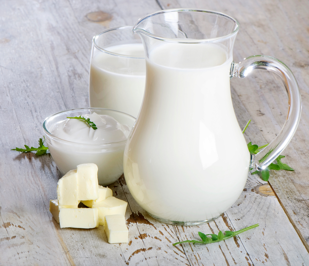   Có khoảng 90% dân số không dung nạp lactose từ sữa và các sản phẩm từ sữa  
