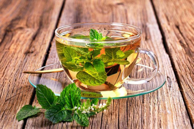 5 loại trà giúp bạn sống thọ hơn, giảm nguy cơ bệnh tật 3