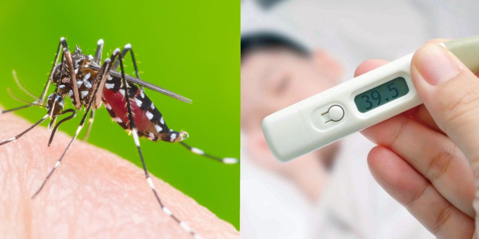   Sốt xuất huyết do muỗi gây ra và người bệnh bị sốt cao (Ảnh minh họa)  