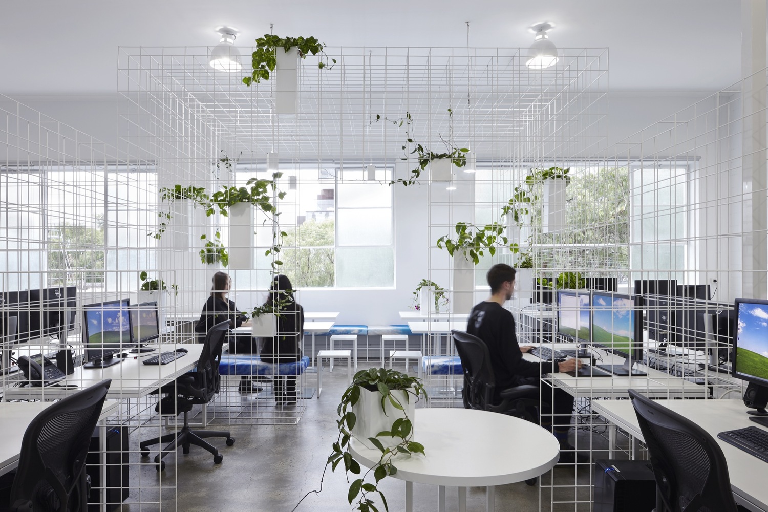   Văn phòng làm việc nhiều cây xanh, thiết kế đẹp mắt sẽ tạo cảm hứng cho nhân viên (Ảnh Internet)  