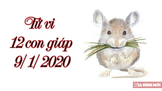   Tử vi 12 con giáp hôm nay 9/1/2020: Tuổi Tý tài lộc không suôn sẻ, tuổi Sửu thuận lợi  