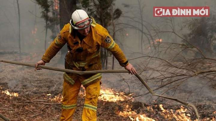   Nguyên nhân vụ cháy rừng ở Úc đến từ đâu?  