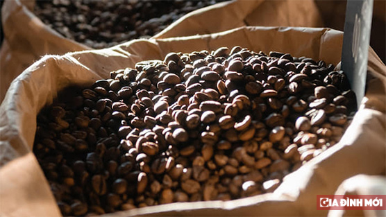   Giá cà phê hôm nay 5/11: Thị trường thế giới tác động trực tiếp đến giá trong nước  