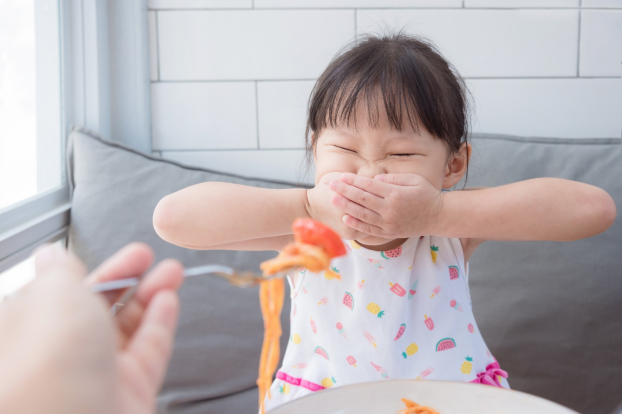 Trẻ biếng ăn là một trong những nỗi trăn trở của cha mẹ khi nuôi con nhỏ