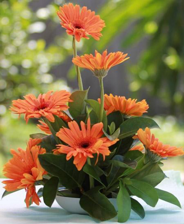 10 cách cắm hoa đẹp trưng ngày Tết cực đơn giản đảm bảo ai vào cũng nức nở khen vì quá đẹp 1