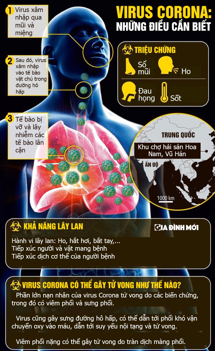[Infographic] Những điều cần biết về virus Corona 0