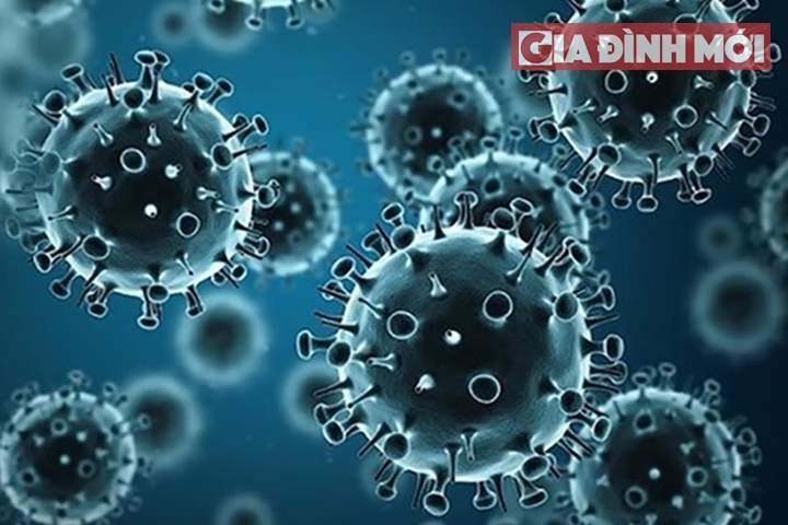   Tổng quan bệnh cúm A H1N1: Triệu chứng, nguyên nhân và cách điều trị  