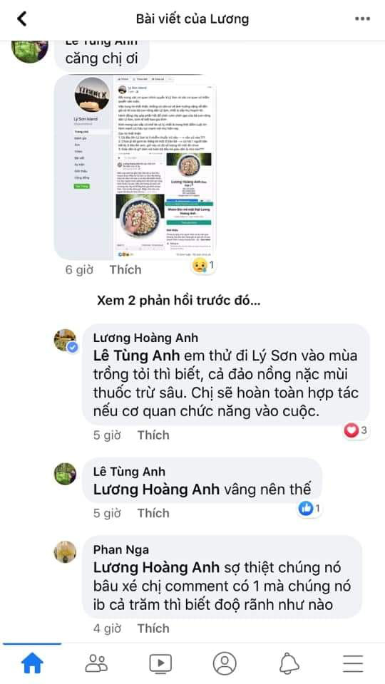 Lương Hoàng Anh - người tung tin đồn thất thiệt về tỏi Lý Sơn là ai? 4