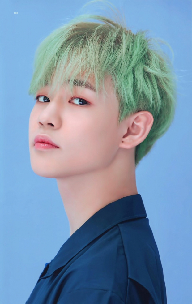 10+ idol Kpop nhuộm tóc xanh lá: Người khí chất ngút ngàn, kẻ xấu lạ khiến fan cười ngất 16