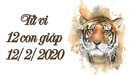   Tử vi 12 con giáp hôm nay 12/2/2020: Tuổi Dần bị cướp công, tuổi Thìn vận trình may mắn  