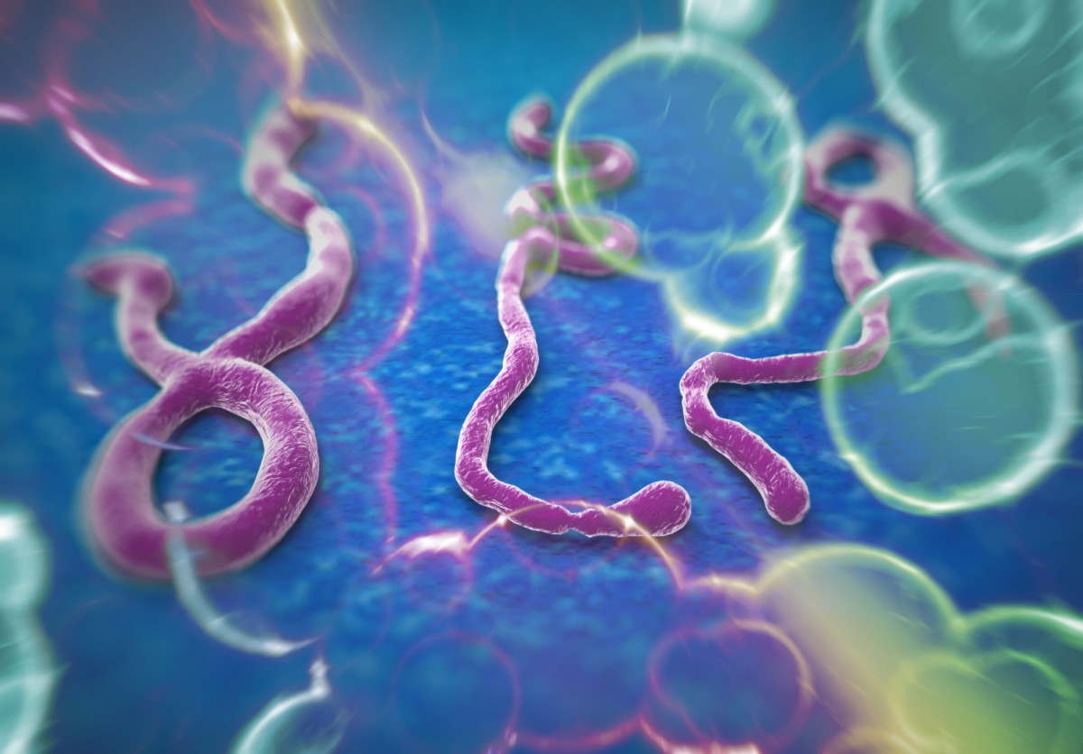   Virus Ebola lây qua đường máu hoặc qua dịch, tế bào của người hoặc động vật mắc bệnh.  