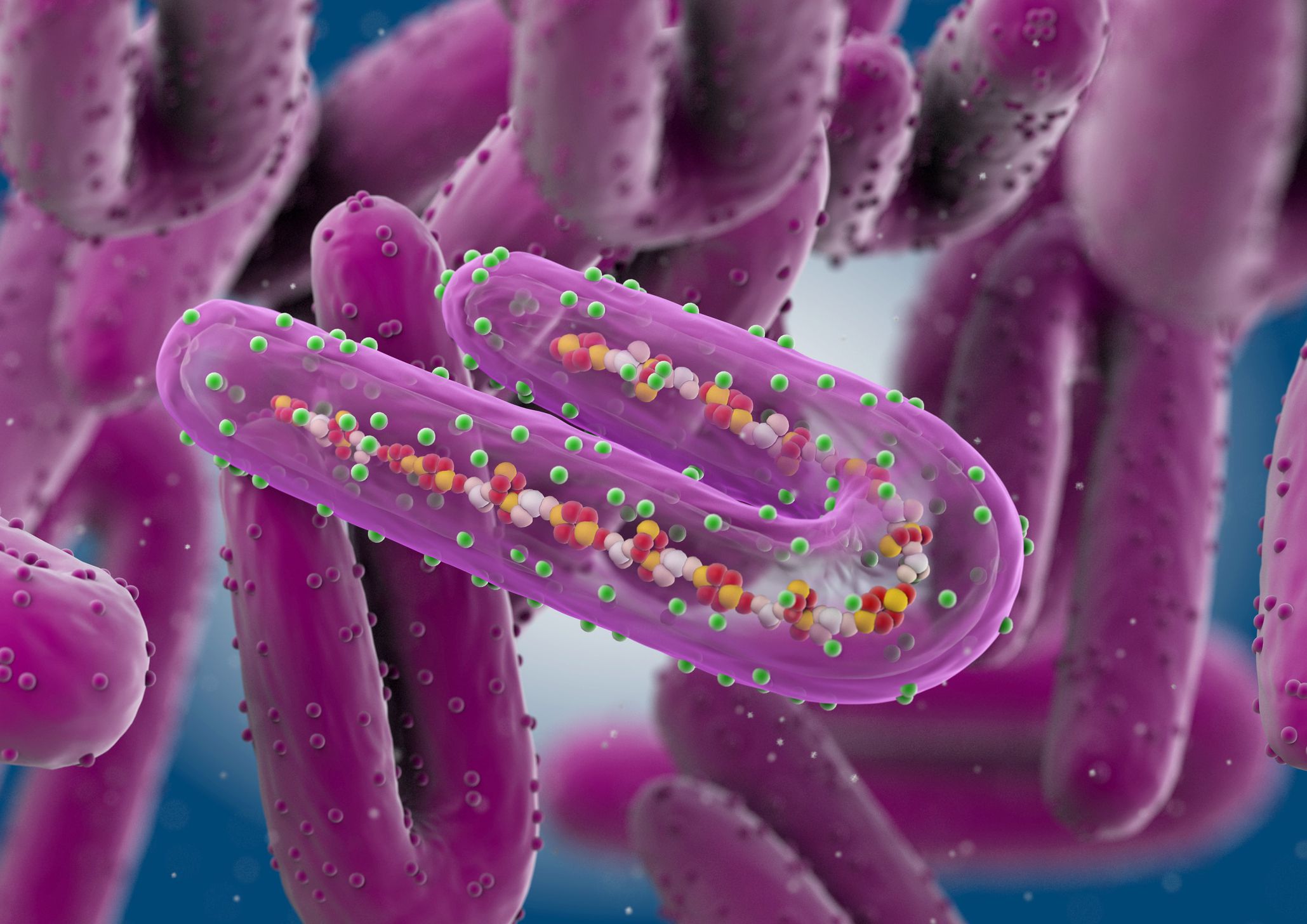   Virus Marburg giống với Ebola ở chỗ cả hai có thể gây bệnh sốt xuất huyết  
