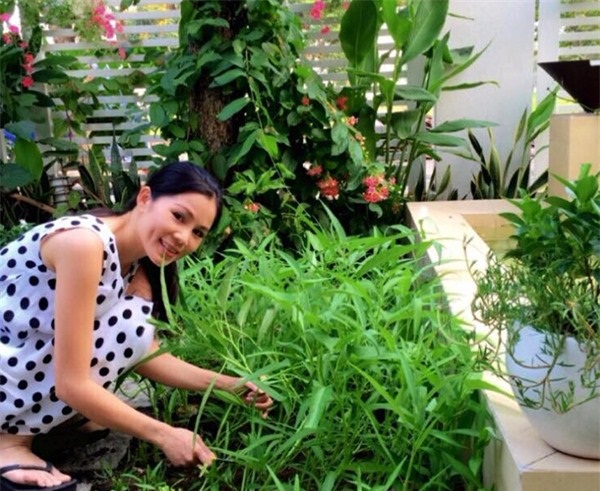   Quyền Linh cùng bà xã Dạ Thảo dành 1 phần diện tích để trồng các loại rau củ phục vụ cho nhu cầu hàng ngày.  
