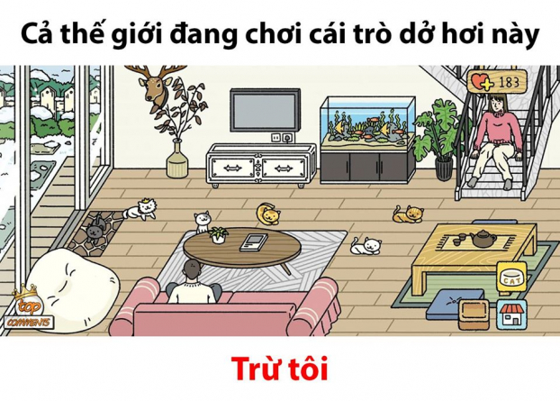   Adorable Home gây sốt mạng xã hội (Ảnh: Top Comments)  