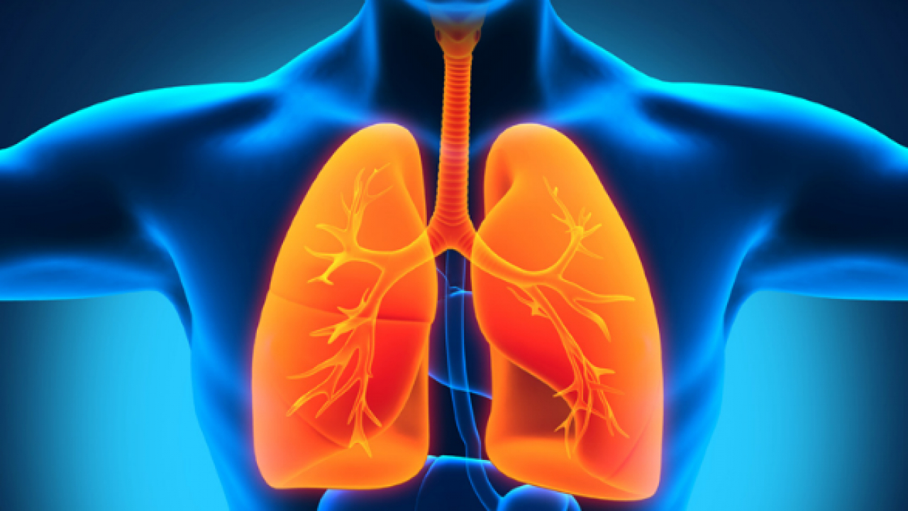   Tin tức y tế thế giới ngày 29/2: Phát hiện gen gây bệnh phổi  