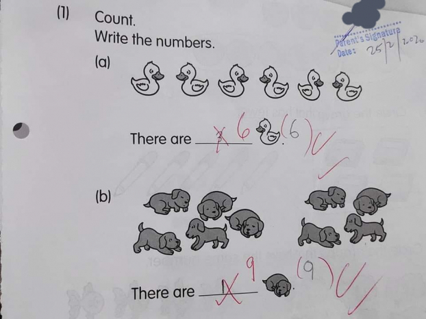 Bài toán đếm vịt và chó của học sinh lớp 1 gây tranh cãi 0