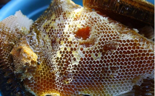   Mật ong nguyên chất rất tốt cho sức khỏe  
