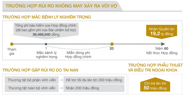 Các mức đóng bảo hiểm nhân thọ tại Bảo Việt Nhân Thọ Việt Nam 7