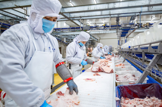  Bên trong nhà máy chế biến thịt MEAT Hà Nam  