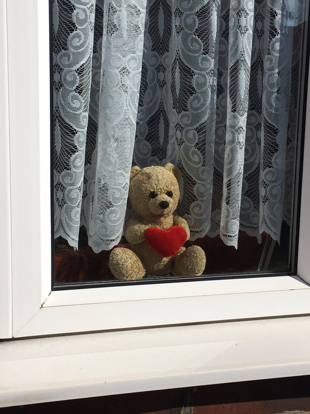 Cafe sáng: Những chú gấu trên khung cửa sổ 0