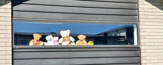Cafe sáng: Những chú gấu trên khung cửa sổ 1