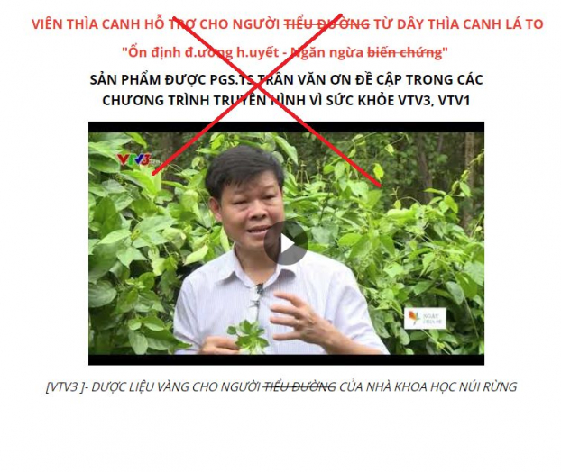   Một trang mạng bán hàng đăng phần trả lời phỏng vấn trên truyền hình của PGS Trần Văn Ơn về nghiên cứu Dây thìa canh bị cắt ghép thành quảng cáo bán hàng cho sản phẩm mà ông không hề biết  