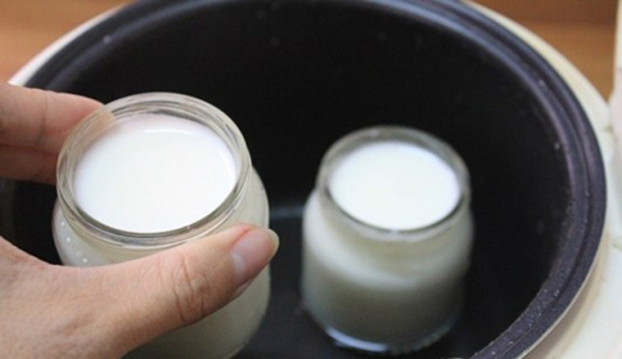 Cách ủ sữa chua bằng nồi cơm điện đơn giản, thành phẩm thơm ngon, sánh mịn 3