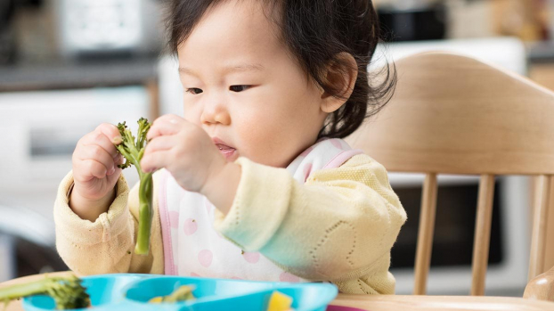   Bữa ăn của trẻ cần có đủ tinh bột, chất đạm, chất xơ, các vitamin và các chất khoáng. Ảnh minh họa  