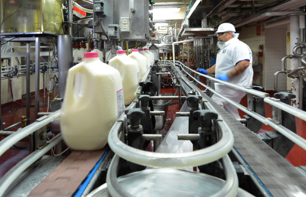   Dây chuyền sản xuất sữa tại Nhà máy Driftwood.  