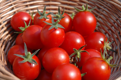   Cà chua giàu Chloride giúp điều hòa các dung dịch trong cơ thể  