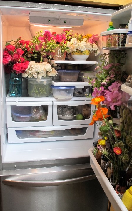 8 vật dụng nên cất trong tủ lạnh nhưng nhiều người không biết 7