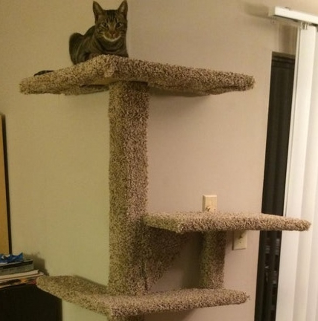   'Tôi tự làm tháp đồ chơi cho mèo vừa với góc nhà'  