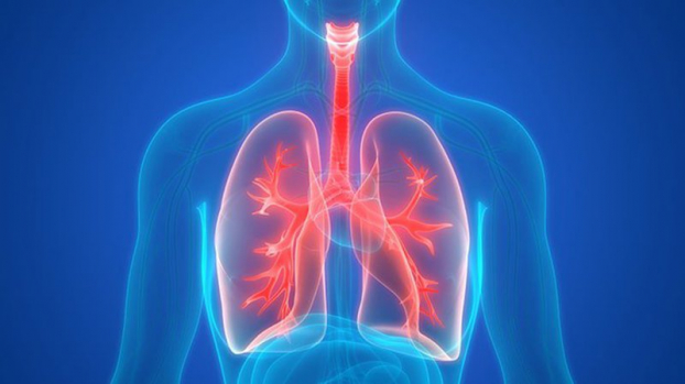   Ghép phổi là cơ hội duy nhất để cứu bệnh nhân 91. Ảnh minh họa  