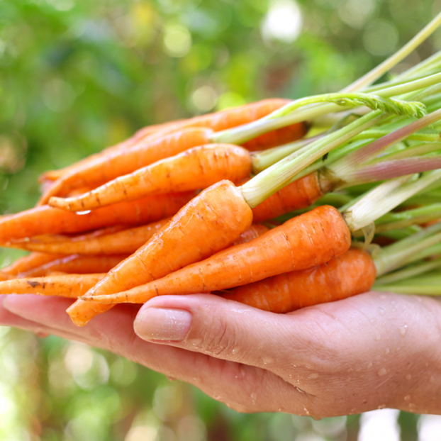 6 loại rau củ quả nên ăn mỗi ngày để thanh lọc và giải độc gan hiệu quả nhất 1