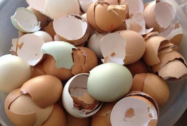 8 công dụng tuyệt vời của vỏ trứng, đừng vội vứt đi vô cùng lãng phí 0