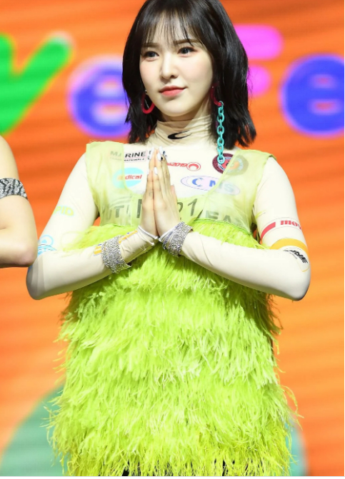 15 trang phục dở khóc dở cười của sao Kpop: Lisa như cây phất trần, chủ tịch Park gây sốc 12