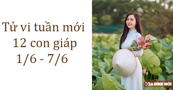 Tử vi 12 con giáp tuần mới từ 1/6 - 7/6: Tuổi Dần gặp khó khăn, tuổi Mùi nhiều lợi thế 0